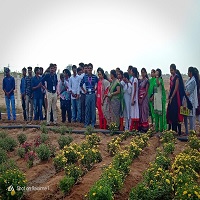 Floriculture