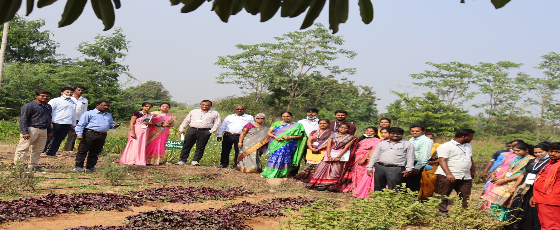 certificate in horticulture landscaping & garden design