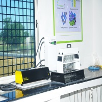agronomy